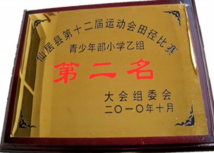 仙居縣第十二屆運(yùn)動會田徑比賽小學(xué)乙組第二名